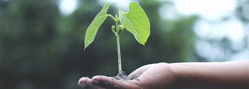 Firmenich pontua alto em sustentabilidade