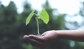 Perspectivas e desafios da economia sustentável