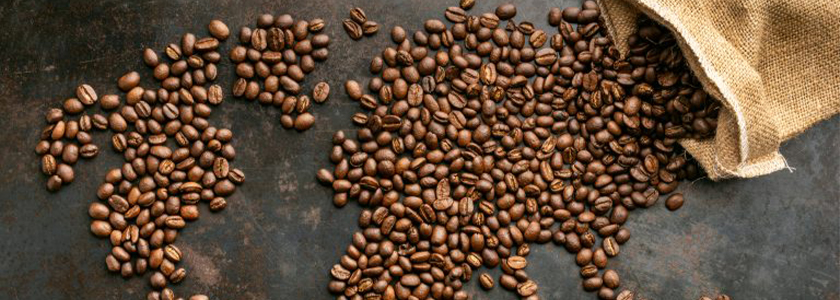 Café de origem única: o que é e por que os consumidores estão optando por ele?