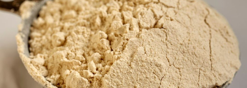 Corbion destaca que os aumentos de preço do glúten de trigo vital podem ser compensados usando enzimas