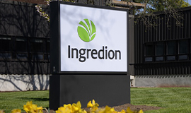 Disrupção aproximou fornecedores de ingredientes e fabricantes de alimentos, segundo a Ingredion