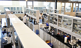 Imbibe inova em expansão