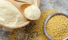 Grão de milheto: cereal rico em fibras e proteínas