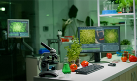 Como as food health techs irão mudar o setor alimentício