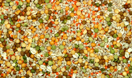 Ingredientes de pulso podem criar foco saudável na categoria de snacks