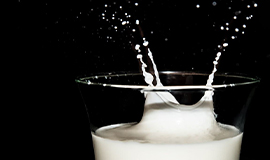 Potencialização das funcionalidades das proteínas do leite por hidrólise enzimática e ultrassom