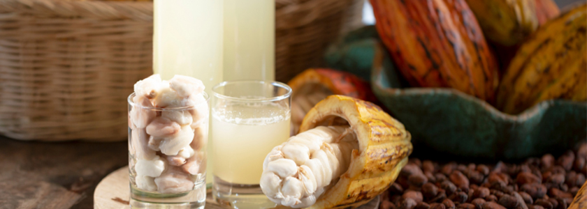 Cacau: um alimento que representa o movimento Upcyclin Food