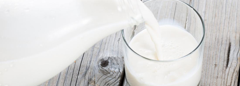 O leite e suas proteínas
