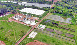 Piracanjuba investe em novos projetos da área ambiental
