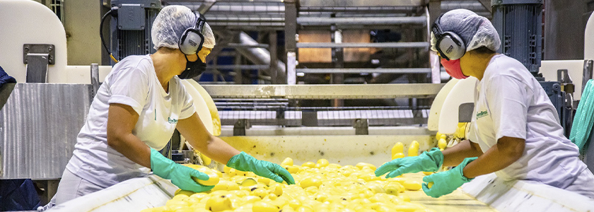 Bem Brasil é certificada por norma internacional de segurança de alimentos