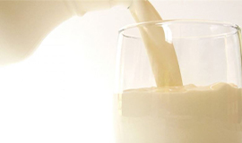 Uso de enzimas em alimentos para intolerantes à lactose