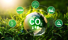 Token para crédito de carbono é solução para a agenda climática?
