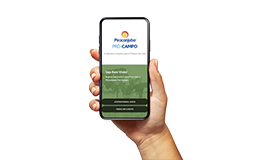 Piracanjuba apresenta aplicativo exclusivo para produtores de leite