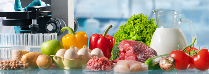 Food ingredients South America promove a maior jornada de inovação da indústria alimentícia da América Latina