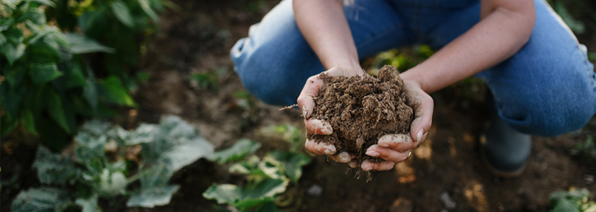 Agricultura regenerativa: as marcas estão fazendo o suficiente?