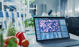 Pesquisadores desenvolvem método de automação para isolar ingredientes voláteis de alimentos