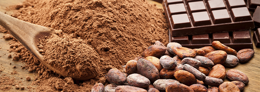 Os produtos derivados do cacau