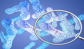 Inovações na formulação para a saúde digestiva envolvem a combinação de enzimas digestivas, prebióticos, probióticos e pós-bióticos