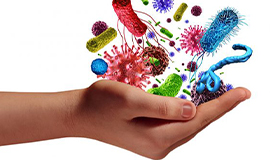Explorando o microbioma e ingredientes benéficos