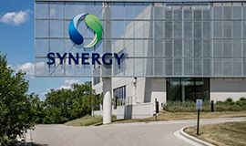Synergy Flavors inova em centro de ingredientes salgados