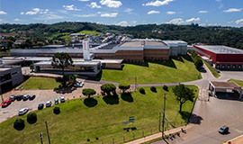 Peccin planeja triplicar faturamento nos próximos cinco anos