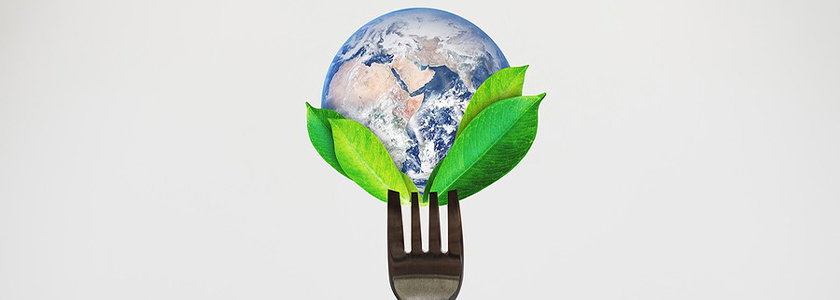 Como se destacar em sustentabilidade