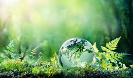 Cargill divulga relatório ESG