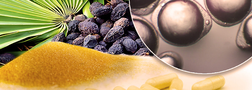 Por que encapsular ingredientes?