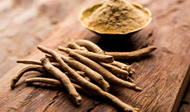 O ginseng como ingrediente no combate a fadiga mental e física
