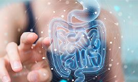Microbioma abre novos caminhos para a inovação em alimentos e bebidas