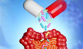 Cápsulas de alta tecnologia otimizam desempenho e funcionalidade em suplementos dietéticos