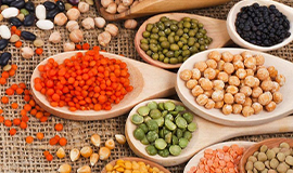 Leguminosas são ingredientes versáteis e nutritivos
