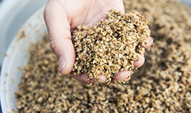 Produtos com alegação de desperdício de alimentos e/ou reciclagem crescem no mercado