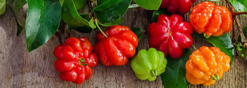 Frutas silvestres em produtos lácteos