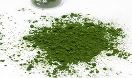 Grupo JRS adquire fornecedor de ingredientes biomarinhos