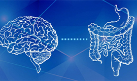 Conectando microbioma intestinal à saúde mental