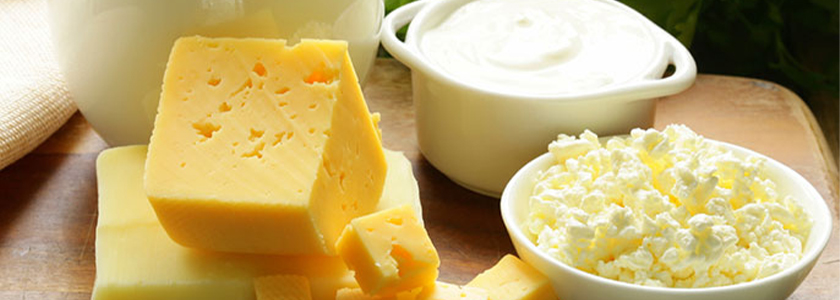 O fermento lácteo nos diferentes processos de produção