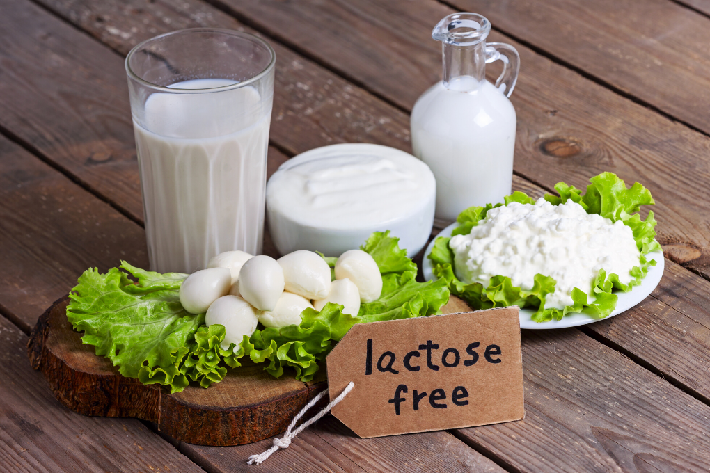Por que investir em produtos sem lactose?