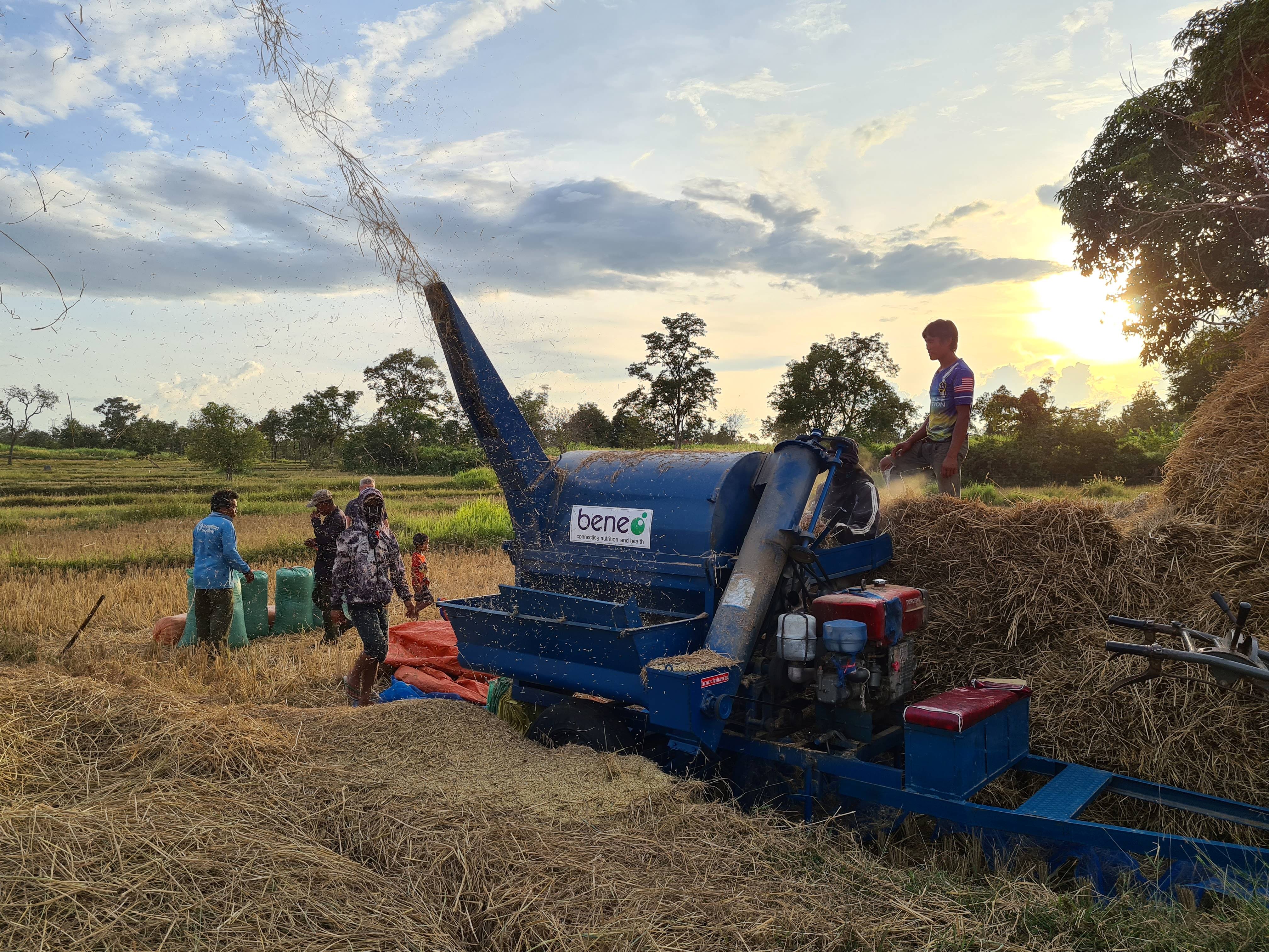 BENEO fornece máquinas agrícolas aos produtores locais de arroz no Laos