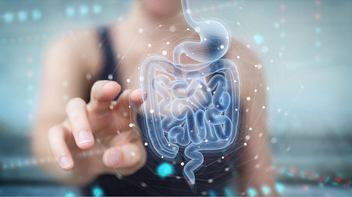 Nova pesquisa com consumidores revela demanda por prebióticos cientificamente comprovados