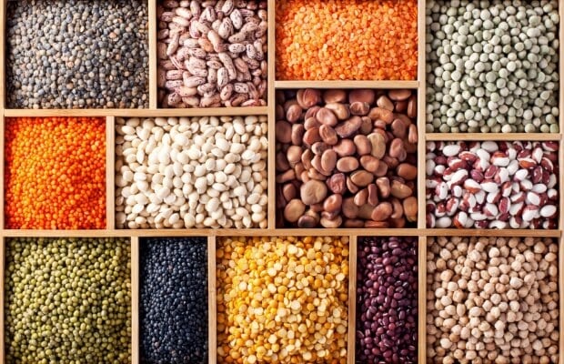 A evolução da proteína na formulação de alimentos e bebidas