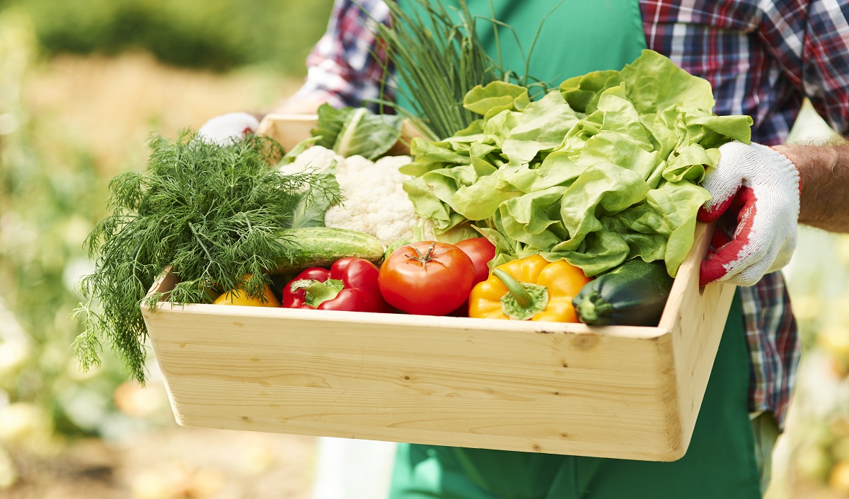 O comportamento de consumo de orgânicos e naturais
