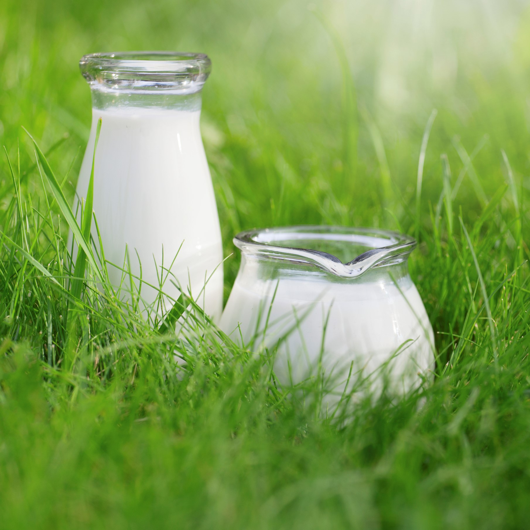 FrieslandCampina e Mondelez se unem para reduzir emissões no setor de leite