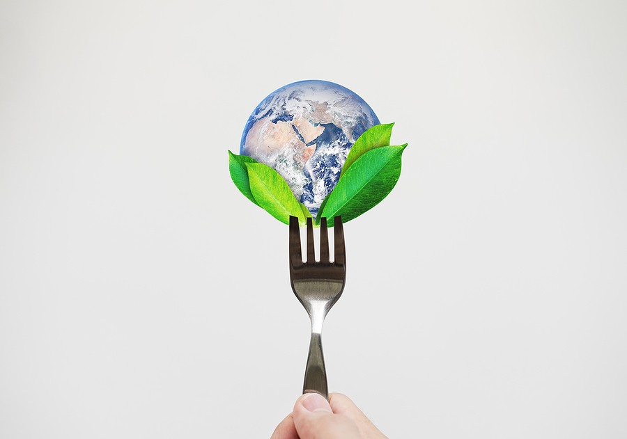 Consumidores preferem marcas que investem em sustentabilidade