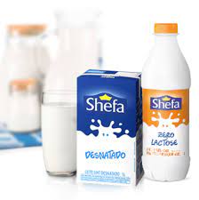 Shefa tem falência decretada pela justiça