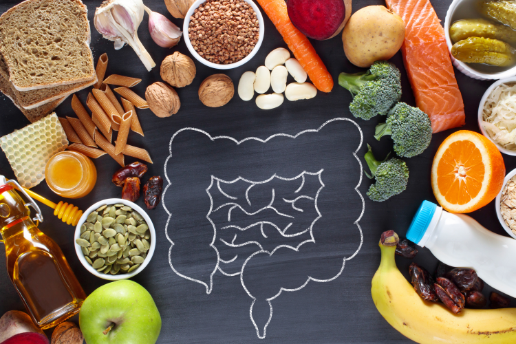 Fibra dietética na saúde e bem-estar