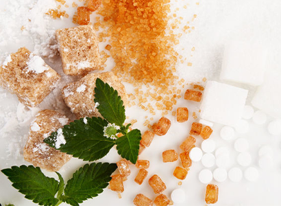 A tecnologia de fermentação na produção de ingredientes