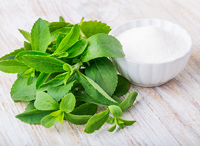 Ingredion revela mitos e verdades sobre a estévia