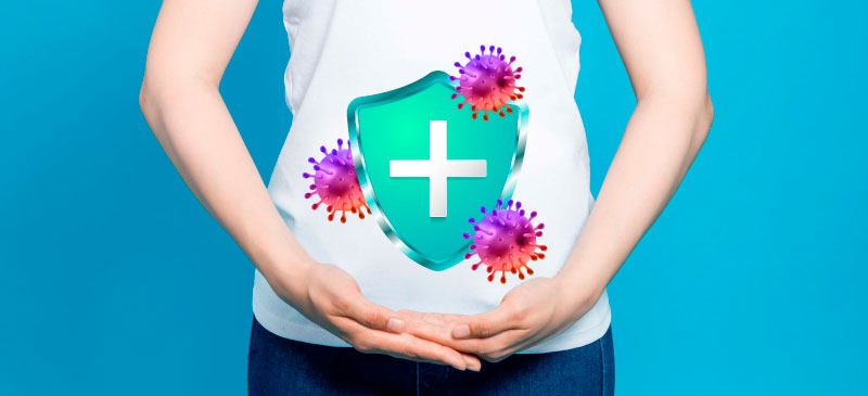 Quais as novidades em ingredientes de saúde intestinal para imunidade?