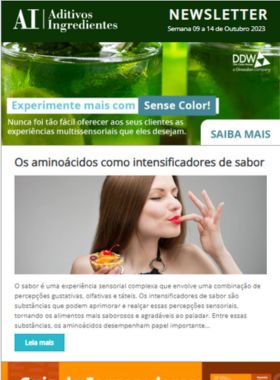 Ano 06 Edição 404